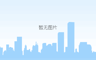后桥总成